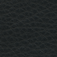 Leather